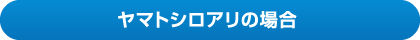 ヤマトシロアリの場合