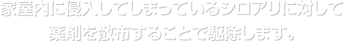 家屋内に侵入してしまっているシロアリに対して薬剤を散布することで駆除します。